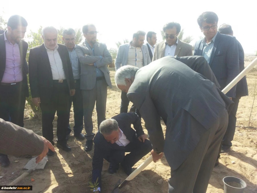 برگزاری مراسم روز درختکاری با همکاری اداره کل منابع طبیعی وآبخیزداری استان بوشهر در آموزشکده فنی و حرفه ای پسران بوشهر