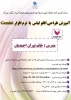 نرم افزار جمینی 2