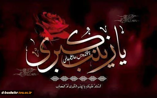 سالروز وفات اسوه صبر و استقامت حضرت زینب کبری(س) تسلیت باد 2