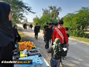 برپایی موکب خدمت رسانی در سالروز شهادت حضرت زهرا(س) توسط آموزشکده ملی مهارت دختران بوشهر 2