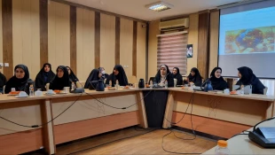 حضور روسا و استادان دانشگاه ملی مهارت استان بوشهر در میزگرد هم اندیشی، تبیین ابعاد و ویژگی‌های حکمرانی دولت شهید آیت الله سید ابراهیم رئیسی 2